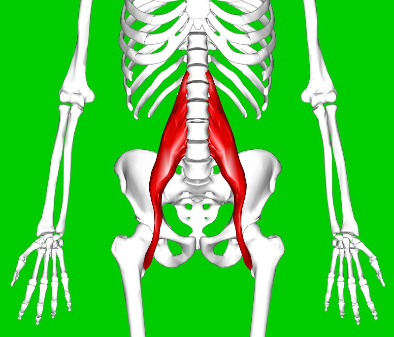 Iliopsoas