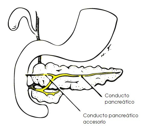 Santorini Conduit