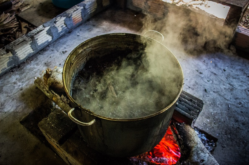 Preparation of ayahuasca