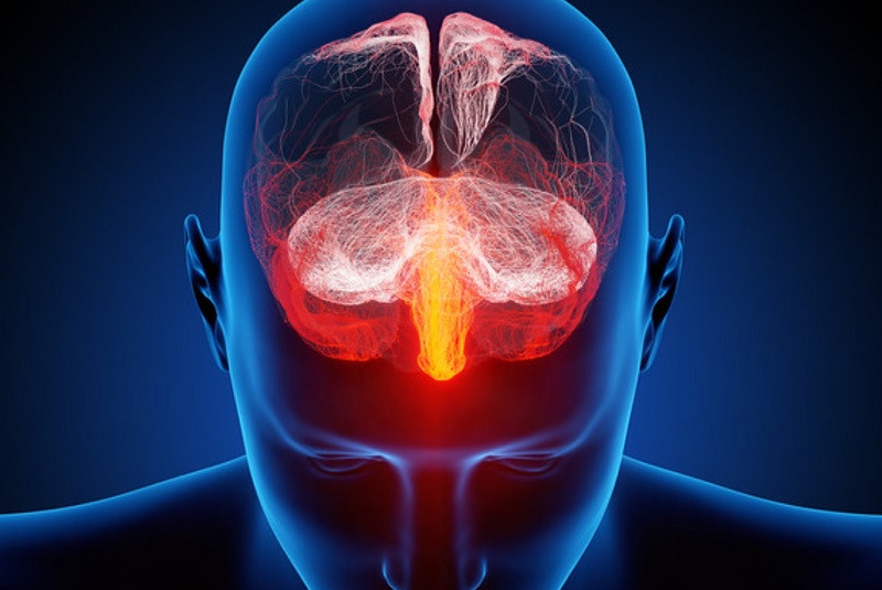 Functions of enkephalins