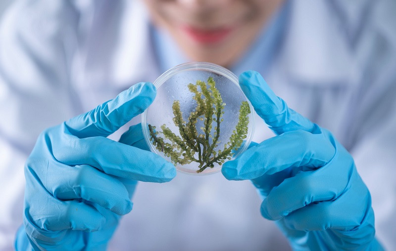 Reflections on science