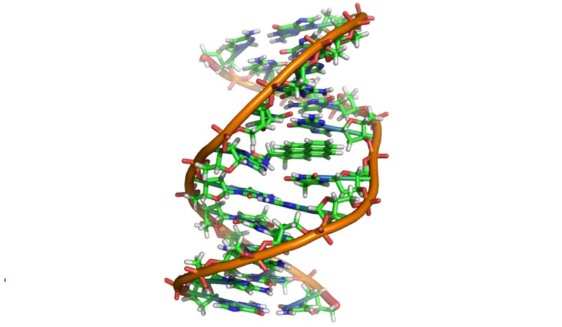 DNA helix