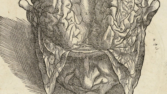 History of the study of the human brain