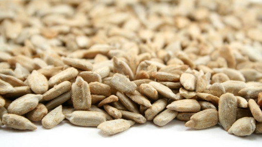 11 Benefits and Properties of Sunflower Seeds