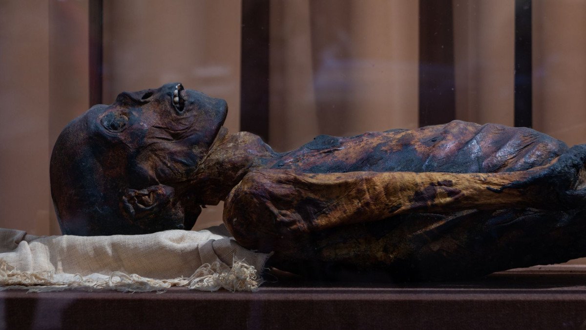 mummies-egypt