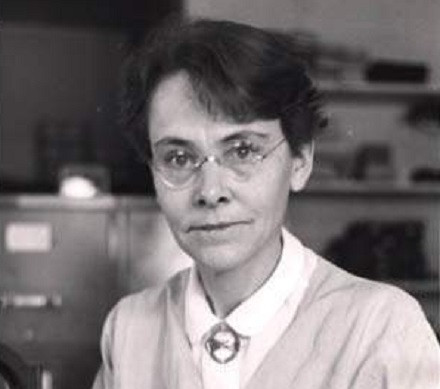 Barbara McClintock Biography