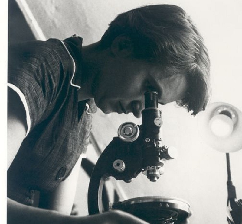 Rosalind Franklin Biography