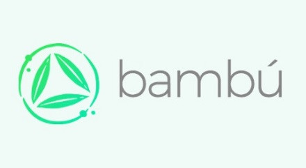 Bamboo