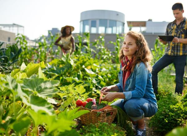 How to make new friends at 50 - Participate in urban gardens