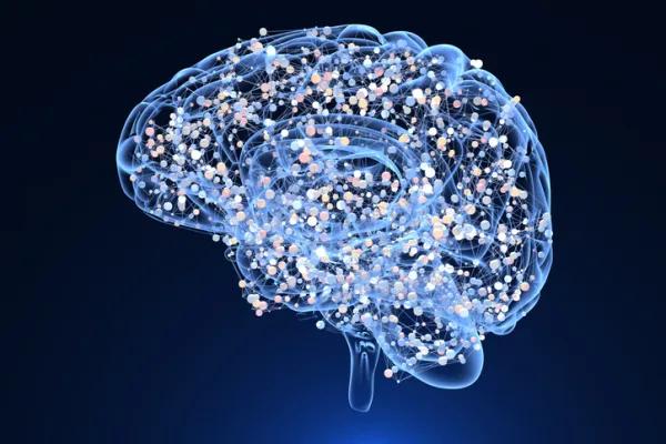 Does the brain recover from drugs? - What are the irreversible damages caused by drug use? 