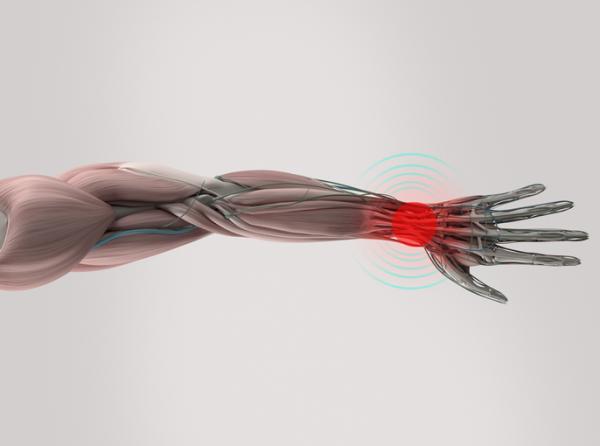 Peripheral nervous system: functions and parts - Diseases of the peripheral nervous system