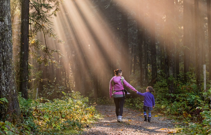 Education and parents