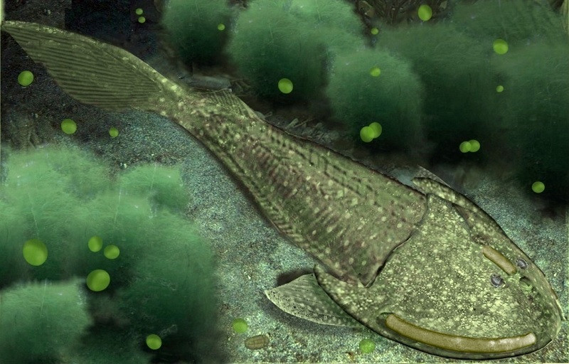 Paleozoic