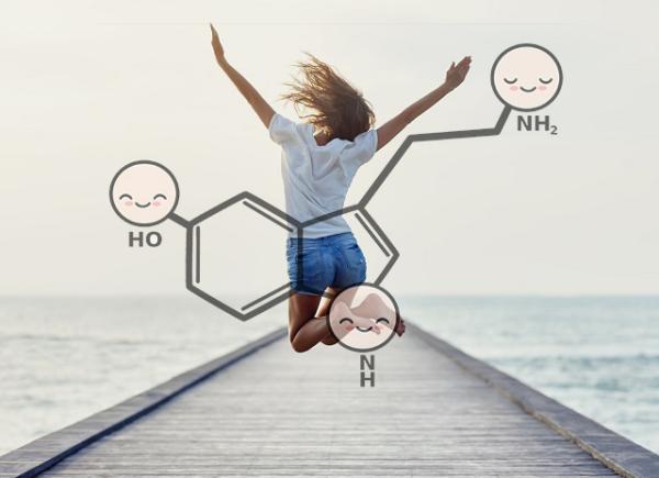 The relationship between neurotransmitters and emotions - GABA and Glutamate 