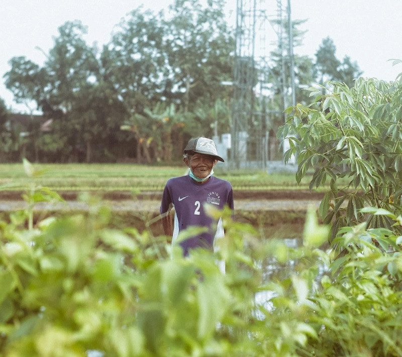 Types of subsistence agriculture