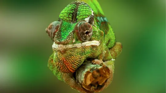 45 Biology Questions (and Their Answers) 33 Biology Questions (and Their Answers)