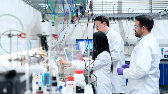 Quantitative Research Examples (Explained)