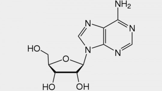 Adenosine