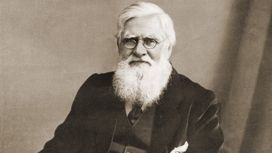 Alfred Russel Wallace: Biography of This Welsh Naturalist