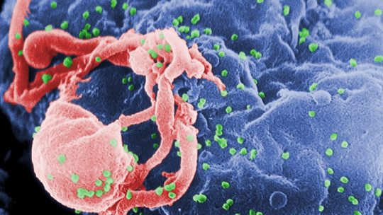 Can HIV modify human behavior?