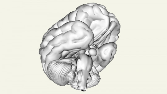 Circadian Rhythms: What They Are and What Biological Functions They