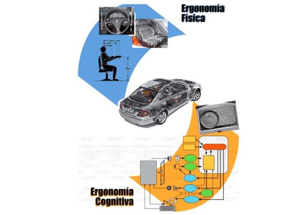 Cognitive ergonomics: definition and examples - What is cognitive ergonomics 