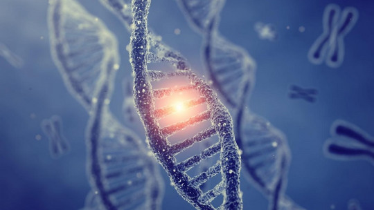 DNA nucleotides