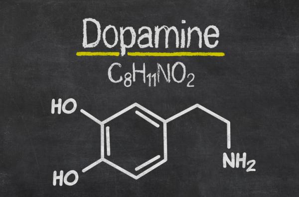 Differences Between Dopamine and Serotonin