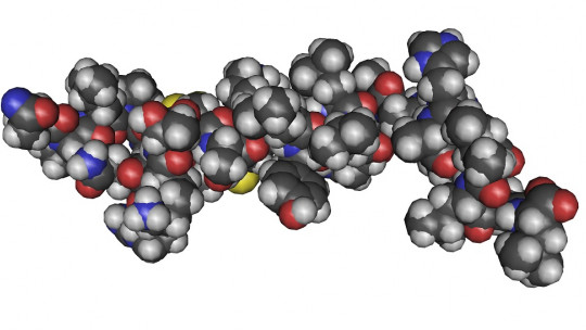 Hypocretin: the 6 Functions of This Neurotransmitter