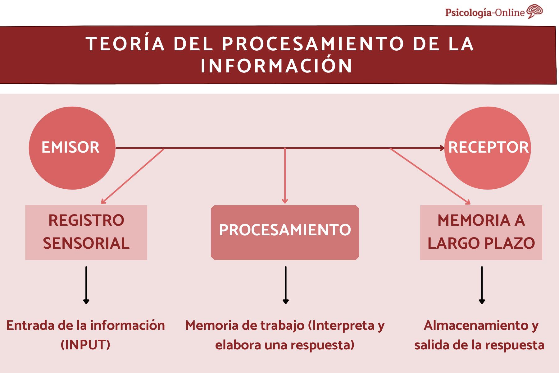 Information Processing Theory: What it Is, Characteristics and Examples