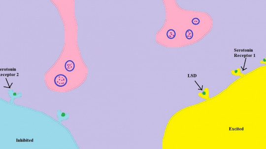 Metabotropic receptor