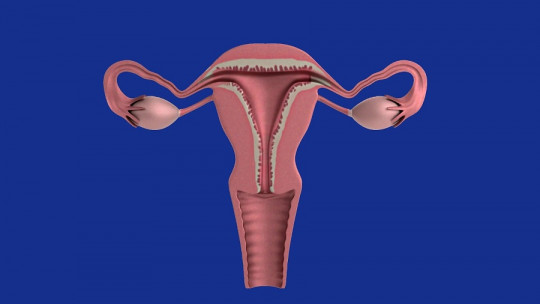 Mittelschmerz syndrome