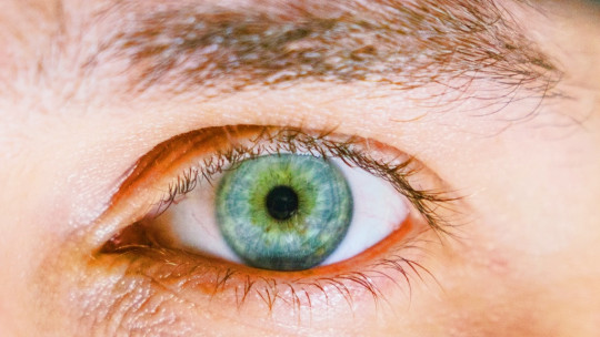 People with Large Pupils Tend to Be More Intelligent