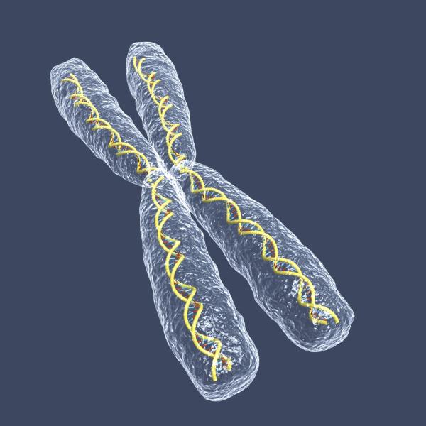 Psychological and neuropsychological problems of Turner syndrome - Most frequent somatic symptoms