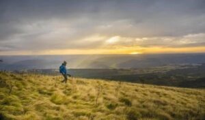 Psychological Meaning of Not Closing the Doors