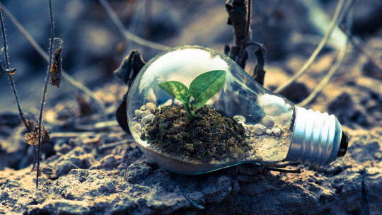 The 110 Best Personal Development Phrases