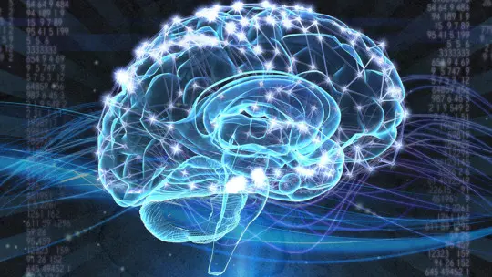 The 5 hierarchical theories of intelligence