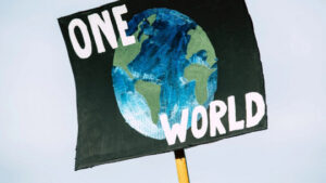 The 80 Best Protest Phrases