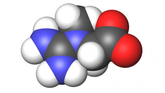 The 9 Types of Creatine: Nutritional Properties and Uses in