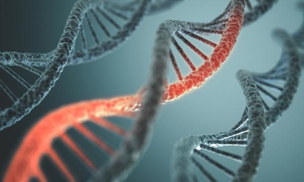 Types of ataxia and their characteristics - Dominant and recessive hereditary ataxias