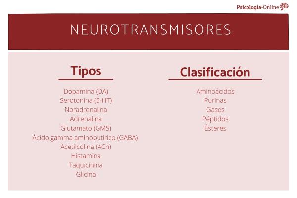 What Are Neurotransmitters