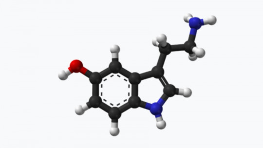 What Are the Psychological Effects of Serotonin?