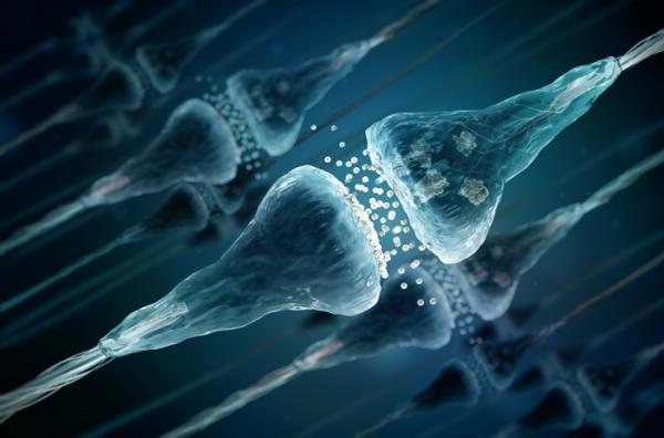 What is GABA and what is it for? - Mechanism of action of gamma-aminobutyric acid