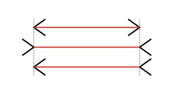 What is Müller Lyer Illusion and Why Does it Occur?