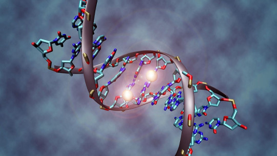 What is the risk of developing cancer due to genetic inheritance?