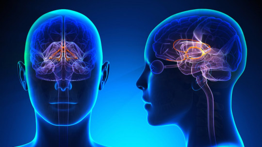 ​Can Internet use prevent and slow cognitive decline