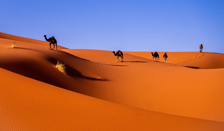 Sahara desert