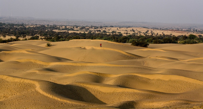 Thar Desert