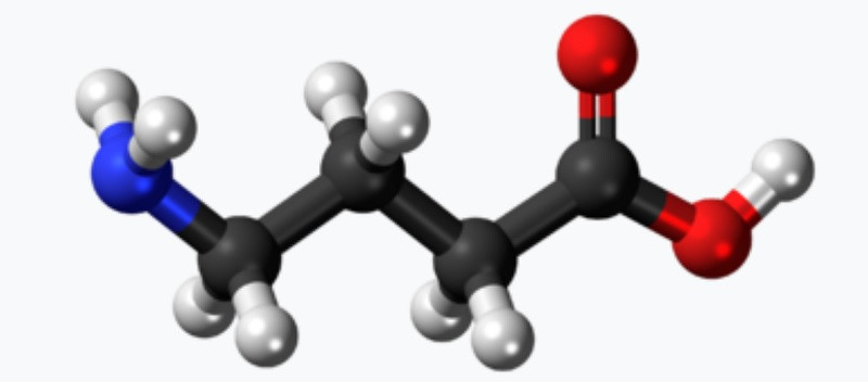 GABA neurotransmitter