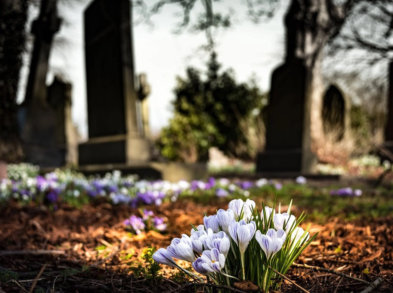 family mourning